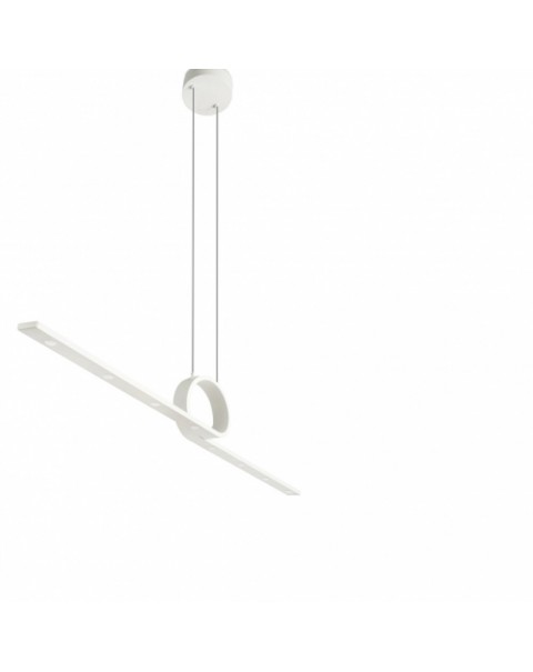 Curl Decorative Pendant Light