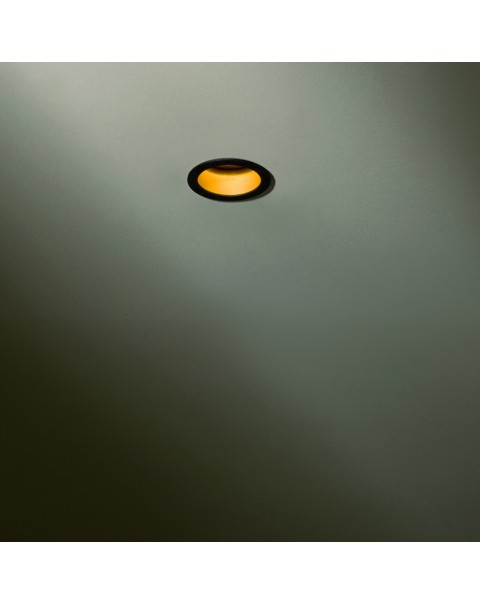 Spina