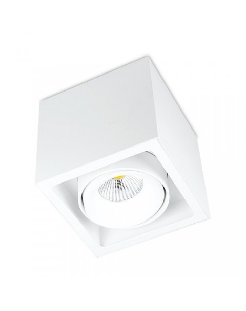 Kuvet Surface Mounted Downlight