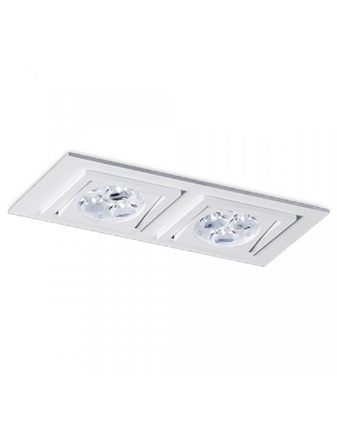 Square Double Downlight