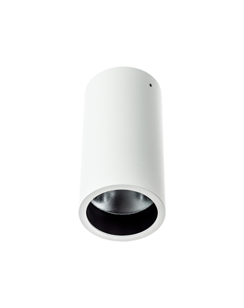 Surface Spot Fixed Downlight
