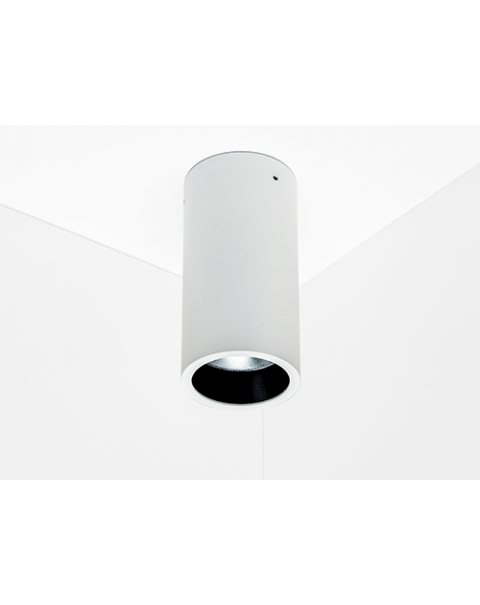 Surface Spot Fixed Downlight